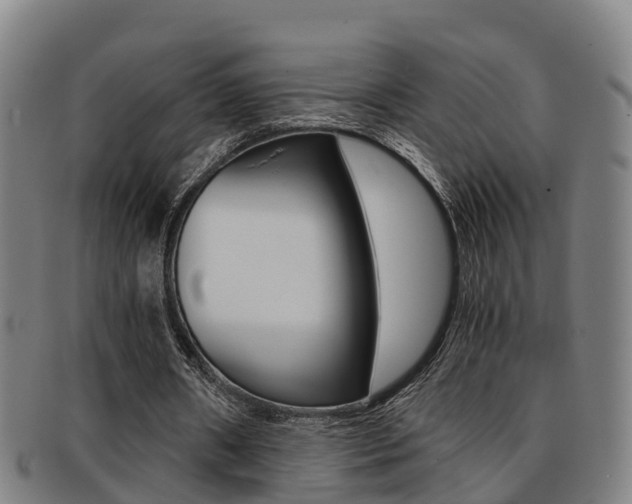 X0000091880482200709051017