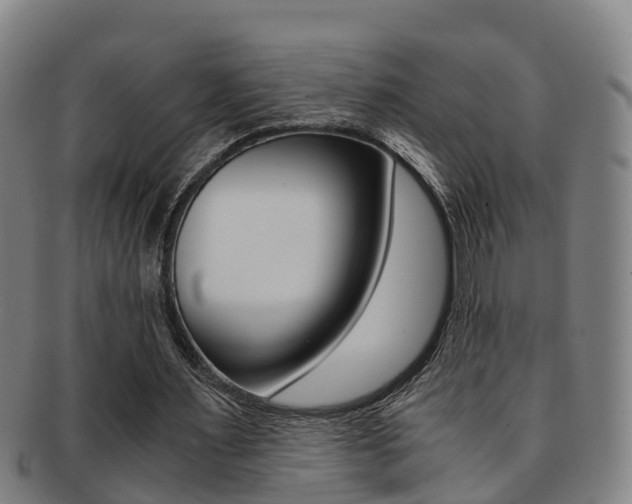X0000091880483200709051017