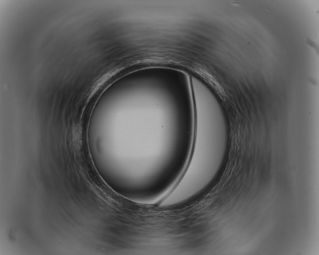 X0000091880484200709051017