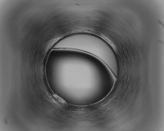 X0000091880485200709051017
