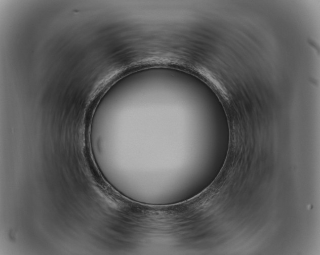 X0000091880486200709051017