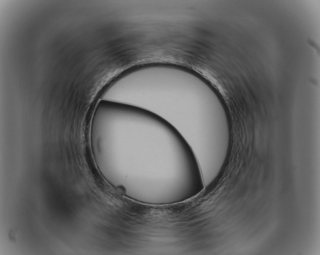X0000091880487200709051017