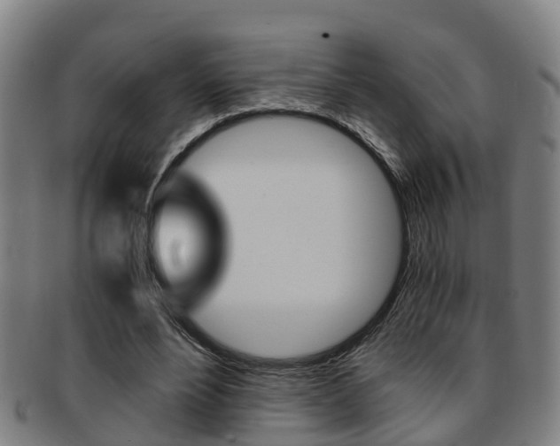 X0000091880488200709051017