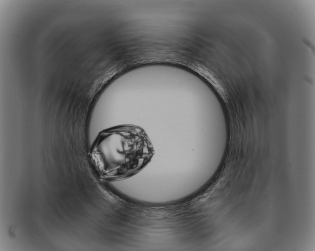 X0000091880489200709051017