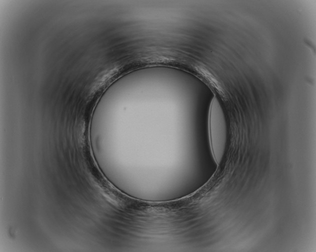 X0000091880490200709051017