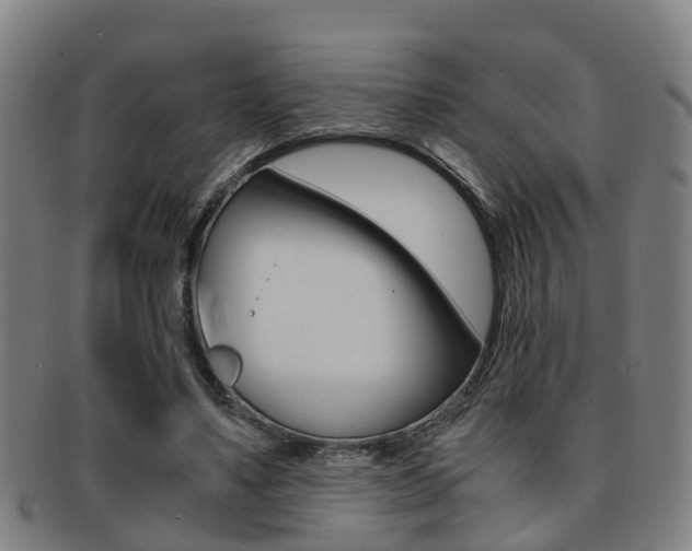 X0000091880491200709051017