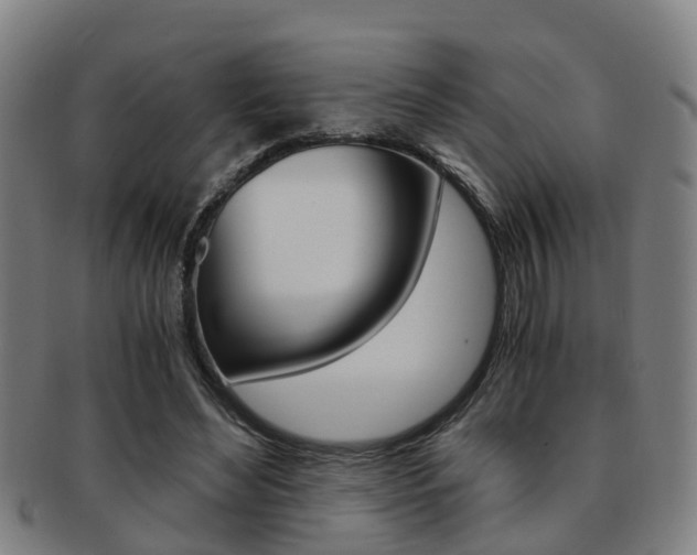 X0000091880492200709051017
