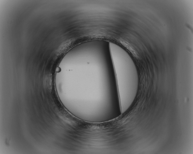 X0000091880494200709051017