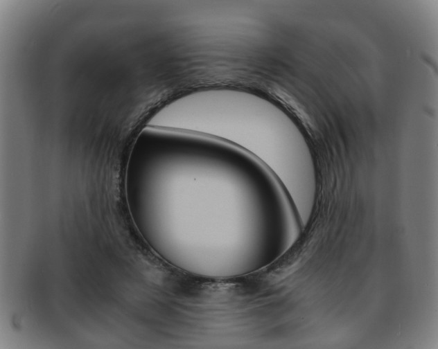X0000091880497200709051017