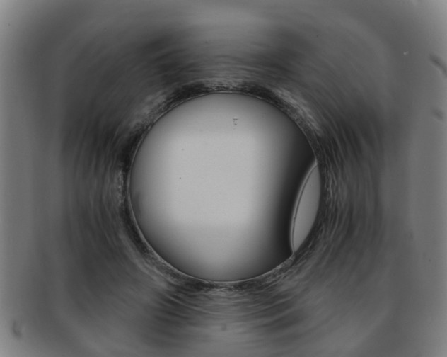 X0000091880498200709051017