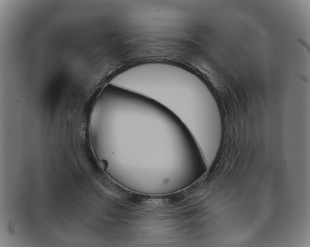 X0000091880499200709051017
