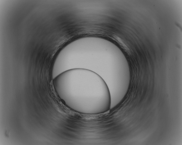 X0000091880500200709051017