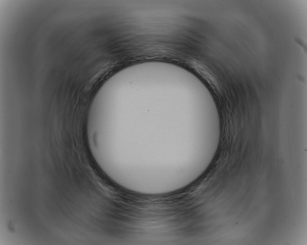 X0000091880501200709051017