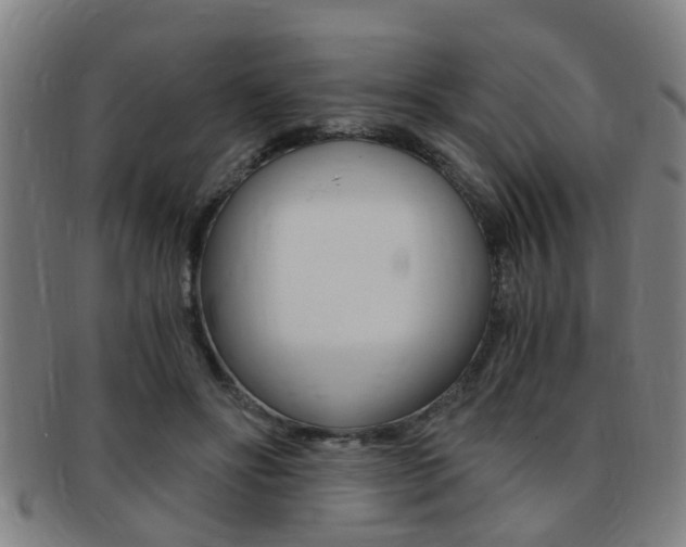 X0000091880502200709051017