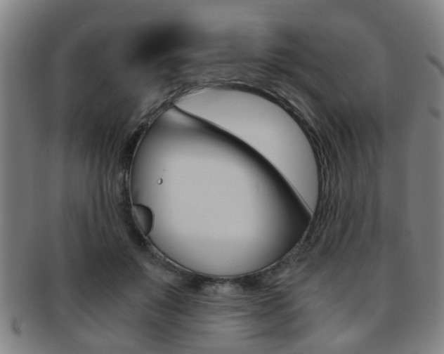 X0000091880503200709051017