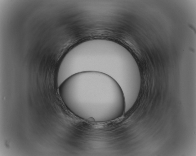 X0000091880504200709051017