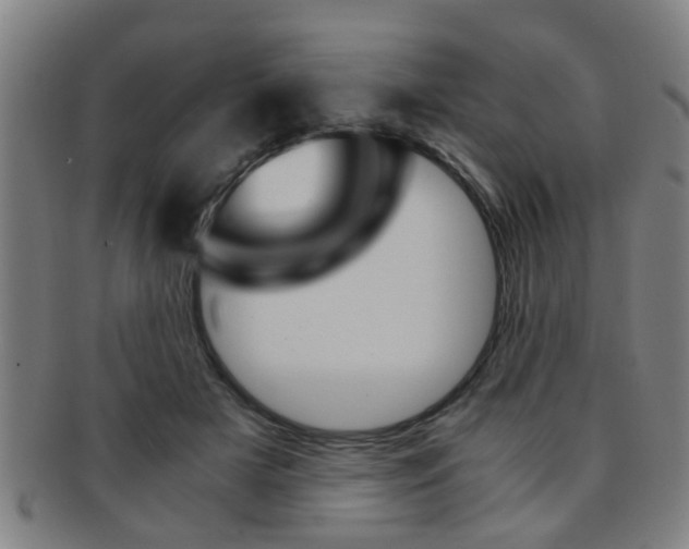 X0000091880505200709051017