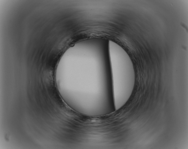 X0000091880506200709051017