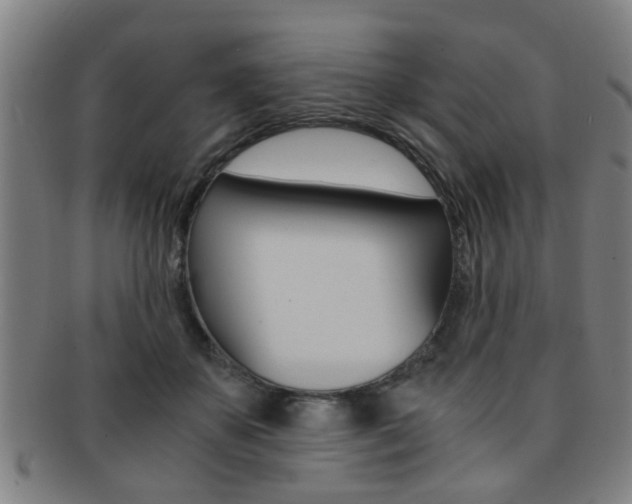 X0000091880507200709051017