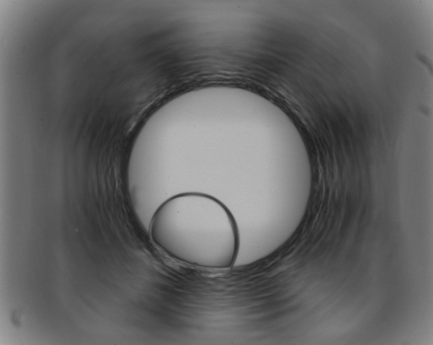 X0000091880508200709051017