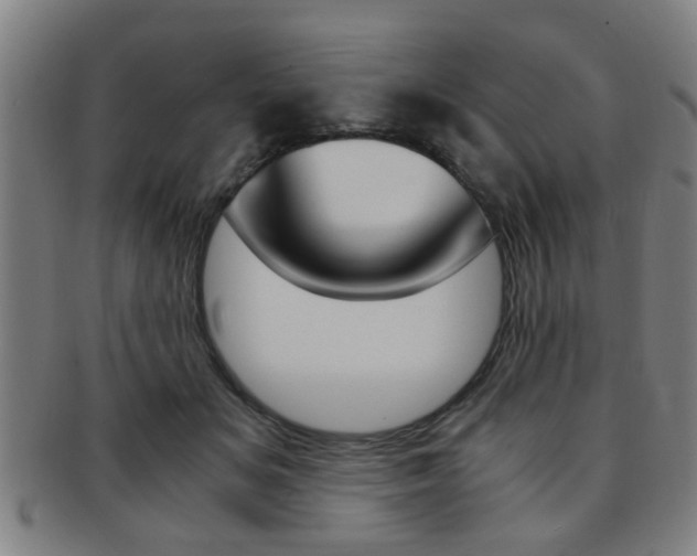 X0000091880509200709051017