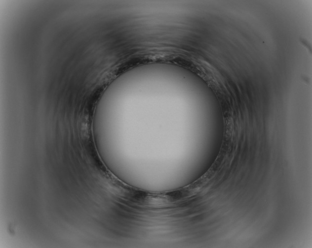X0000091880510200709051017
