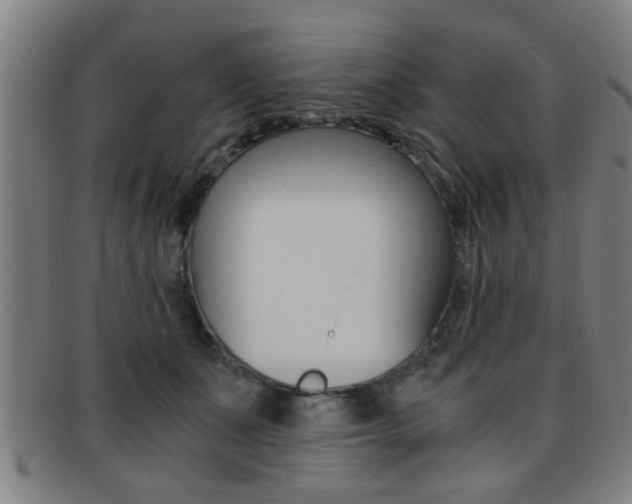 X0000091880511200709051017