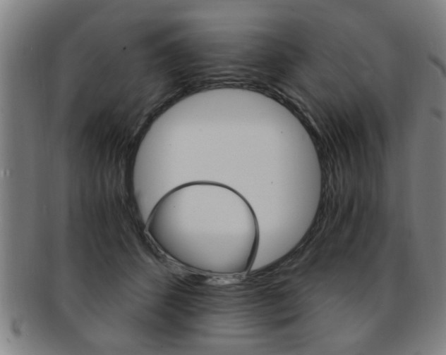 X0000091880512200709051017