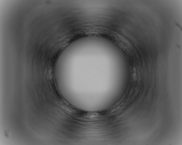 X0000091880514200709051017
