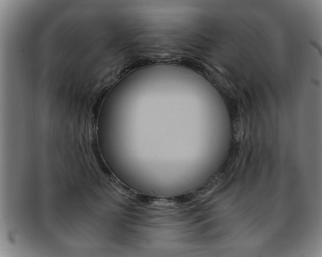 X0000091880515200709051017