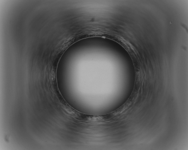 X0000091880517200709051017