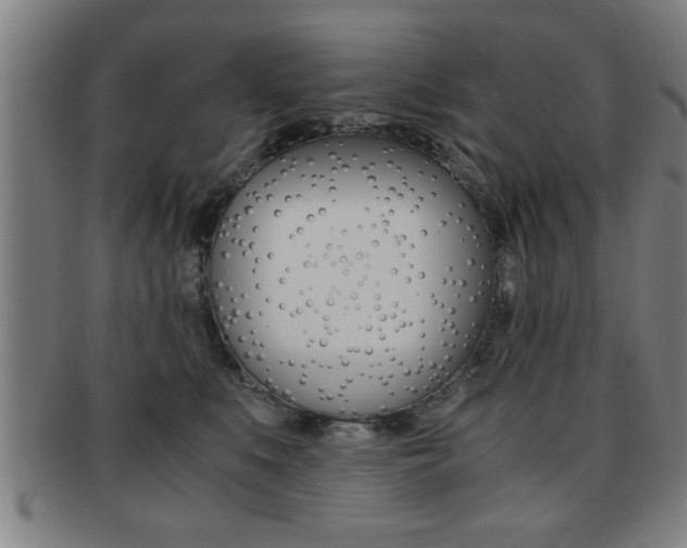 X0000091880519200709051017