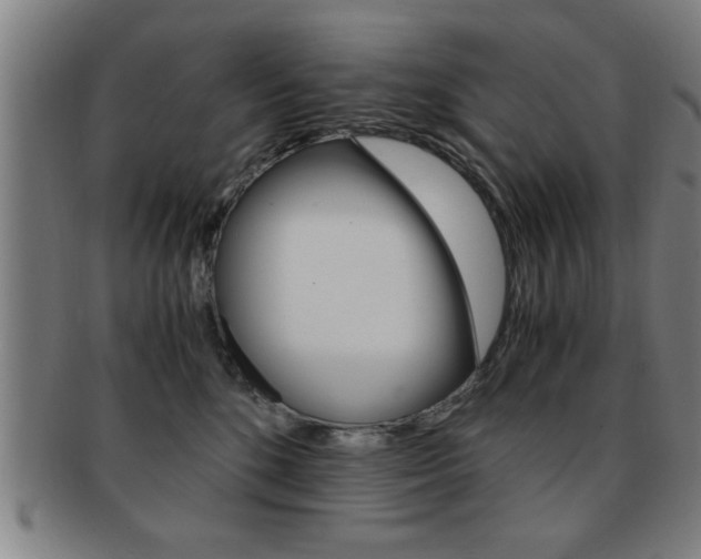X0000091880520200709051017