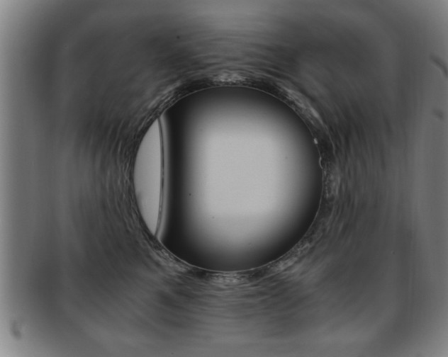 X0000091880521200709051017