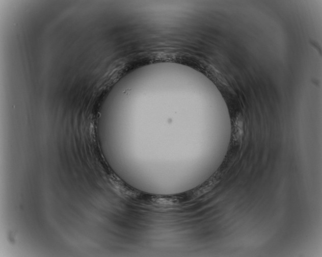 X0000091880522200709051017