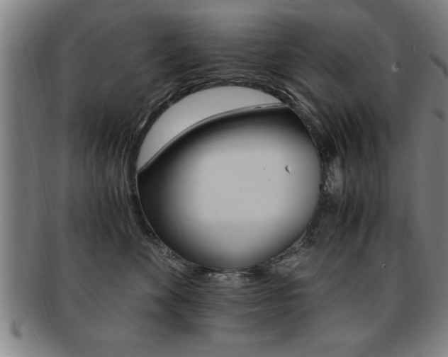 X0000091880524200709051017