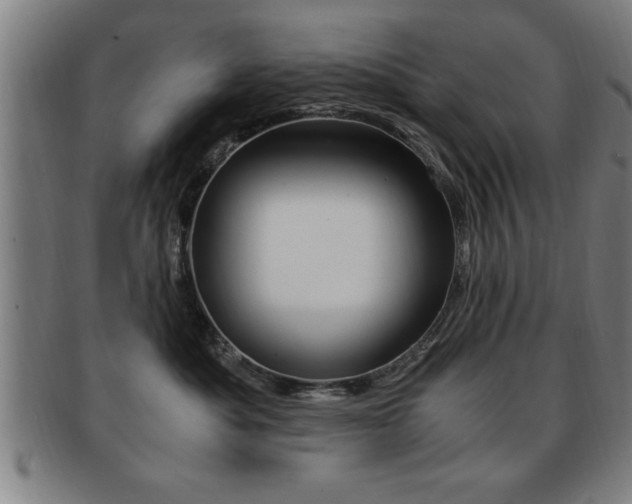 X0000091880525200709051017