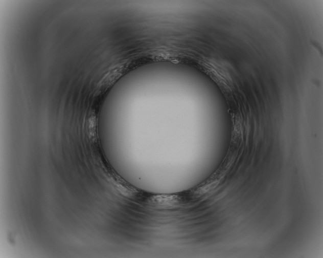 X0000091880526200709051017