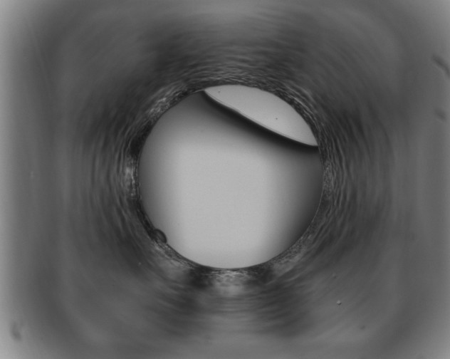 X0000091880527200709051017