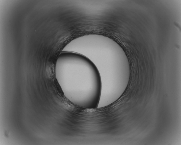 X0000091880528200709051017