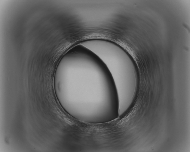 X0000091880529200709051016