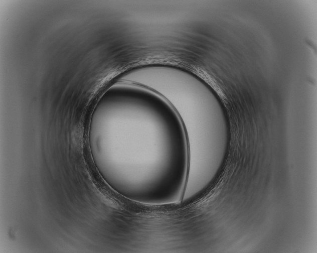 X0000091880530200709051016