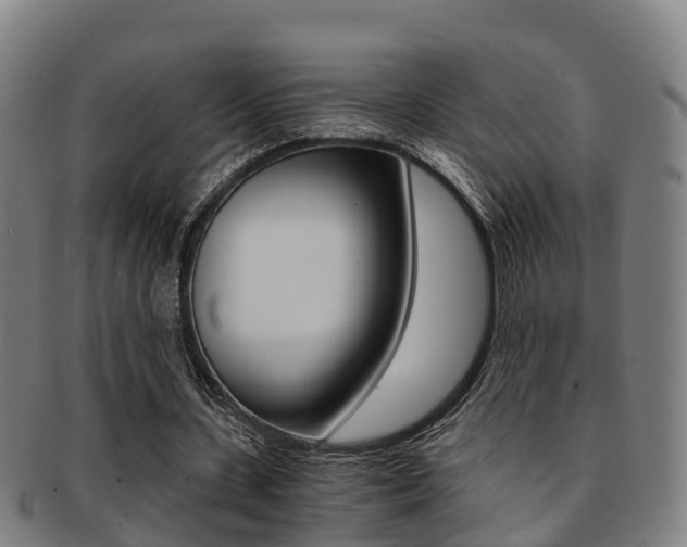 X0000091880531200709051016