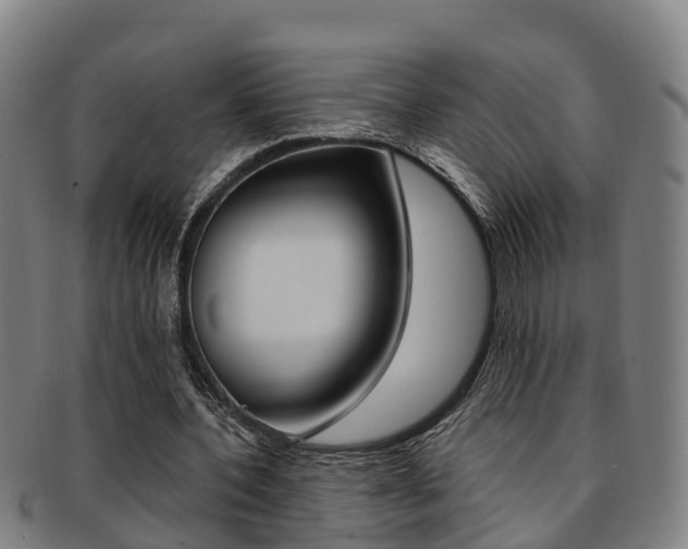 X0000091880532200709051016