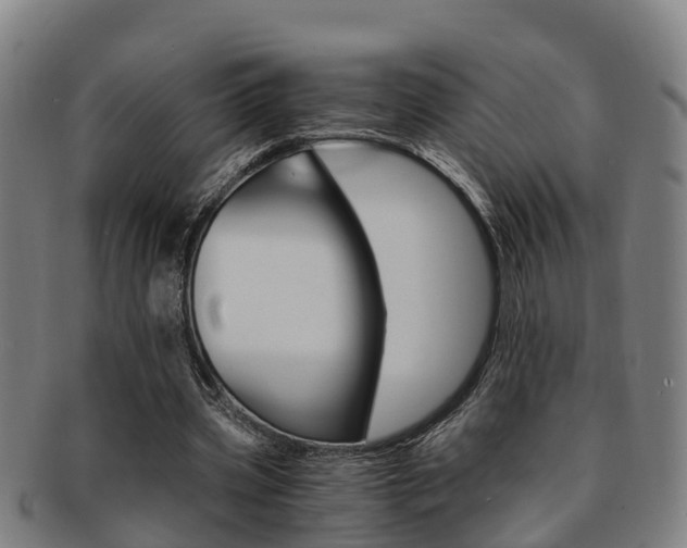 X0000091880533200709051016