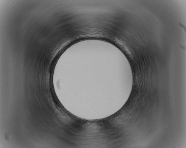 X0000091880534200709051016