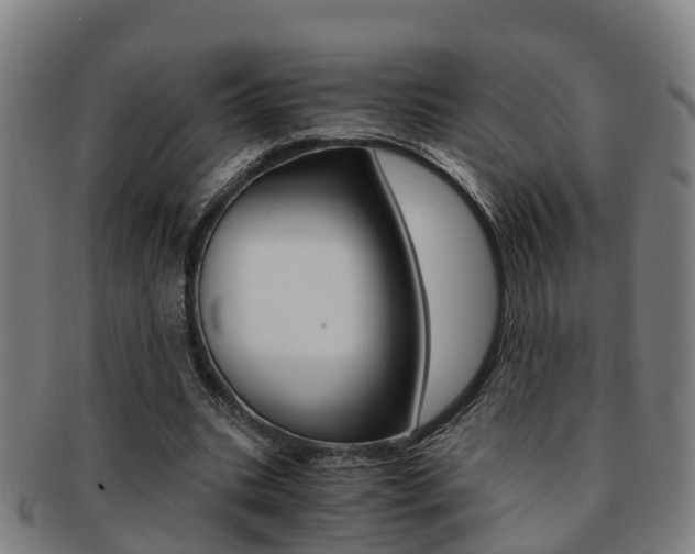X0000091880535200709051016