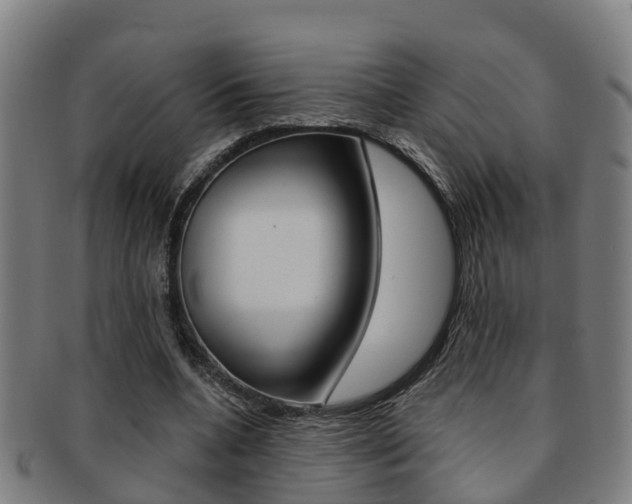 X0000091880536200709051016