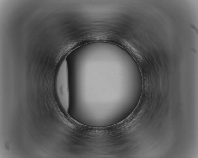 X0000091880537200709051016