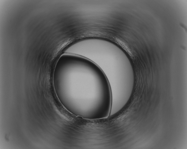 X0000091880538200709051016